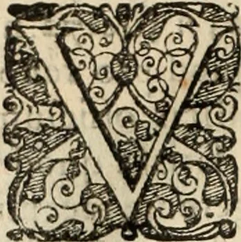 An illustration from Decisiones supremi eminentissimique Senatus Portugalliae ex gravissimorum patrum responsis collectae, 1621, leaf 617