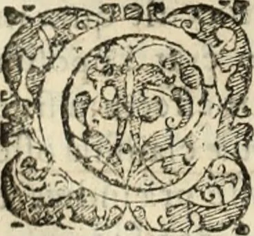 An illustration from Decisiones supremi eminentissimique Senatus Portugalliae ex gravissimorum patrum responsis collectae, 1621, leaf 617