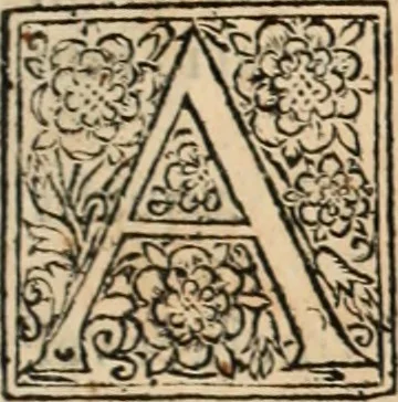 An illustration from Decisiones supremi eminentissimique Senatus Portugalliae ex gravissimorum patrum responsis collectae, 1621, leaf 622
