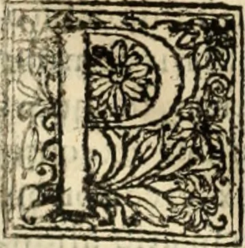An illustration from Decisiones supremi eminentissimique Senatus Portugalliae ex gravissimorum patrum responsis collectae, 1621, leaf 77