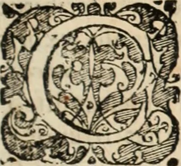 An illustration from Decisiones supremi eminentissimique Senatus Portugalliae ex gravissimorum patrum responsis collectae, 1621, leaf 90