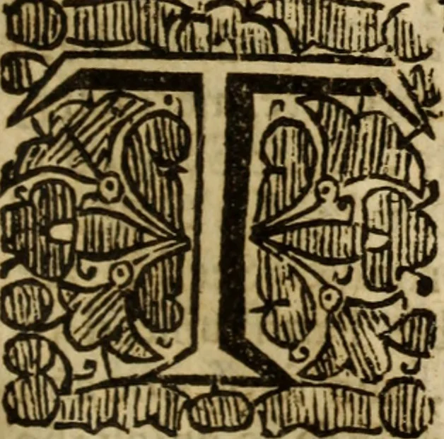 An illustration from An explicite declaration of the testimony of Christ according to the plain sayings of the Gospel : and therein, of the purposes, promises, and covenants of God, as by Gospel declared ..., 1656, leaf 218
