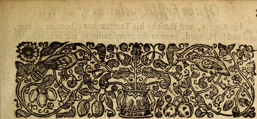 An illustration from An explicite declaration of the testimony of Christ according to the plain sayings of the Gospel : and therein, of the purposes, promises, and covenants of God, as by Gospel declared ..., 1656, leaf 218