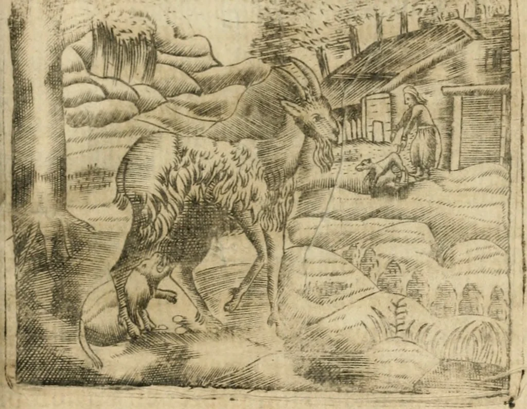 An illustration from Declaracion magistral sobre las emblemas de Andres Alciato con todas las historias, antiguedades, moralidad y doctrina tocante a las buenas costumbres, 1615, leaf 394