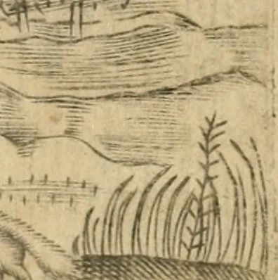 An illustration from Declaracion magistral sobre las emblemas de Andres Alciato con todas las historias, antiguedades, moralidad y doctrina tocante a las buenas costumbres, 1615, leaf 457