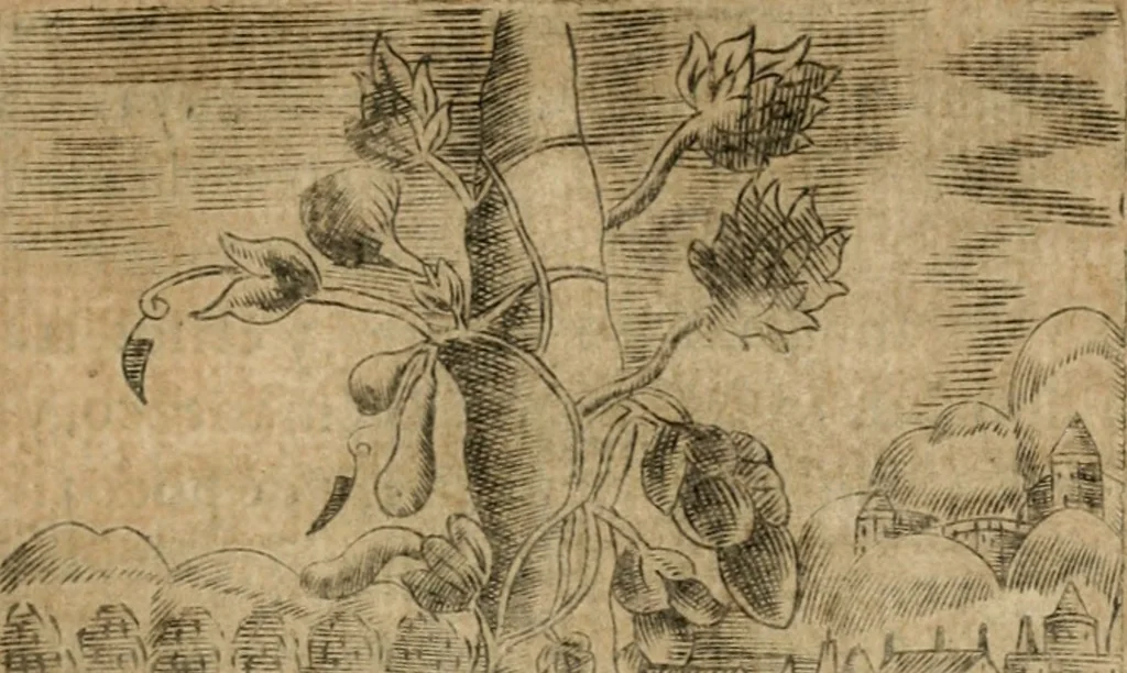 An illustration from Declaracion magistral sobre las emblemas de Andres Alciato con todas las historias, antiguedades, moralidad y doctrina tocante a las buenas costumbres, 1615, leaf 634