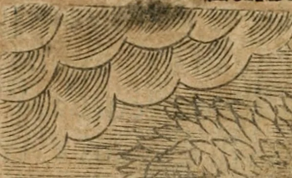 An illustration from Declaracion magistral sobre las emblemas de Andres Alciato con todas las historias, antiguedades, moralidad y doctrina tocante a las buenas costumbres, 1615, leaf 647