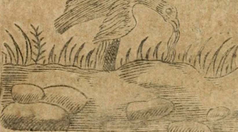 An illustration from Declaracion magistral sobre las emblemas de Andres Alciato con todas las historias, antiguedades, moralidad y doctrina tocante a las buenas costumbres, 1615, leaf 647