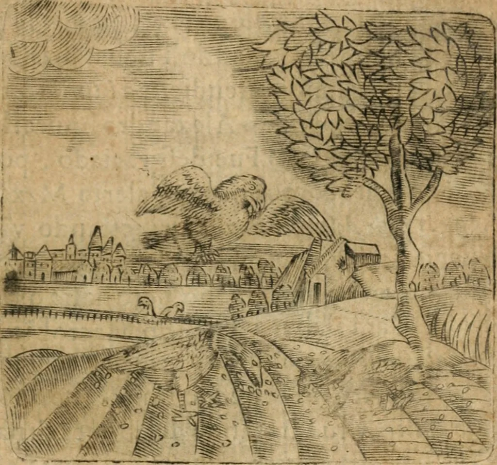 An illustration from Declaracion magistral sobre las emblemas de Andres Alciato con todas las historias, antiguedades, moralidad y doctrina tocante a las buenas costumbres, 1615, leaf 698