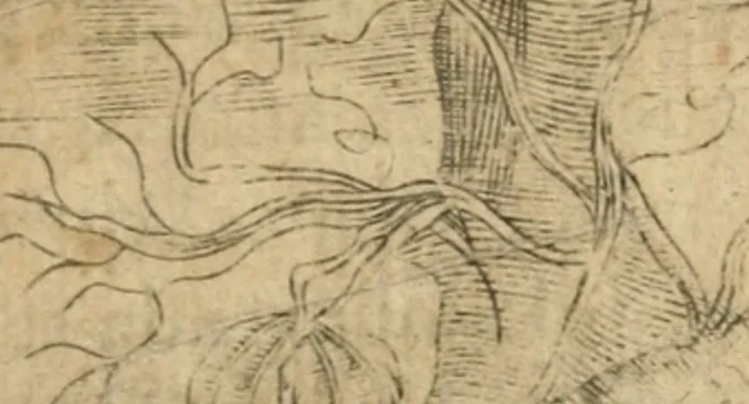 An illustration from Declaracion magistral sobre las emblemas de Andres Alciato con todas las historias, antiguedades, moralidad y doctrina tocante a las buenas costumbres, 1615, leaf 764