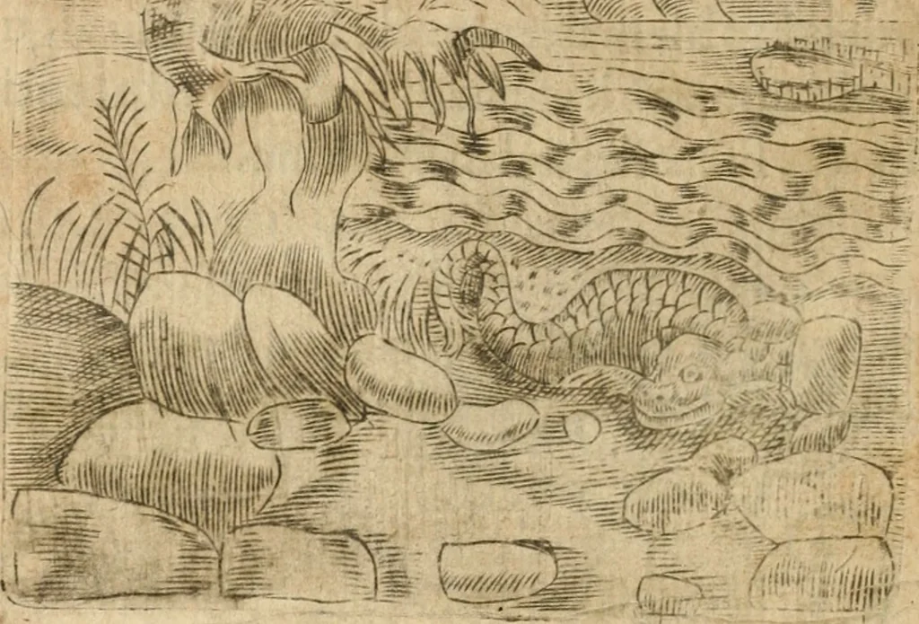 An illustration from Declaracion magistral sobre las emblemas de Andres Alciato con todas las historias, antiguedades, moralidad y doctrina tocante a las buenas costumbres, 1615, leaf 791