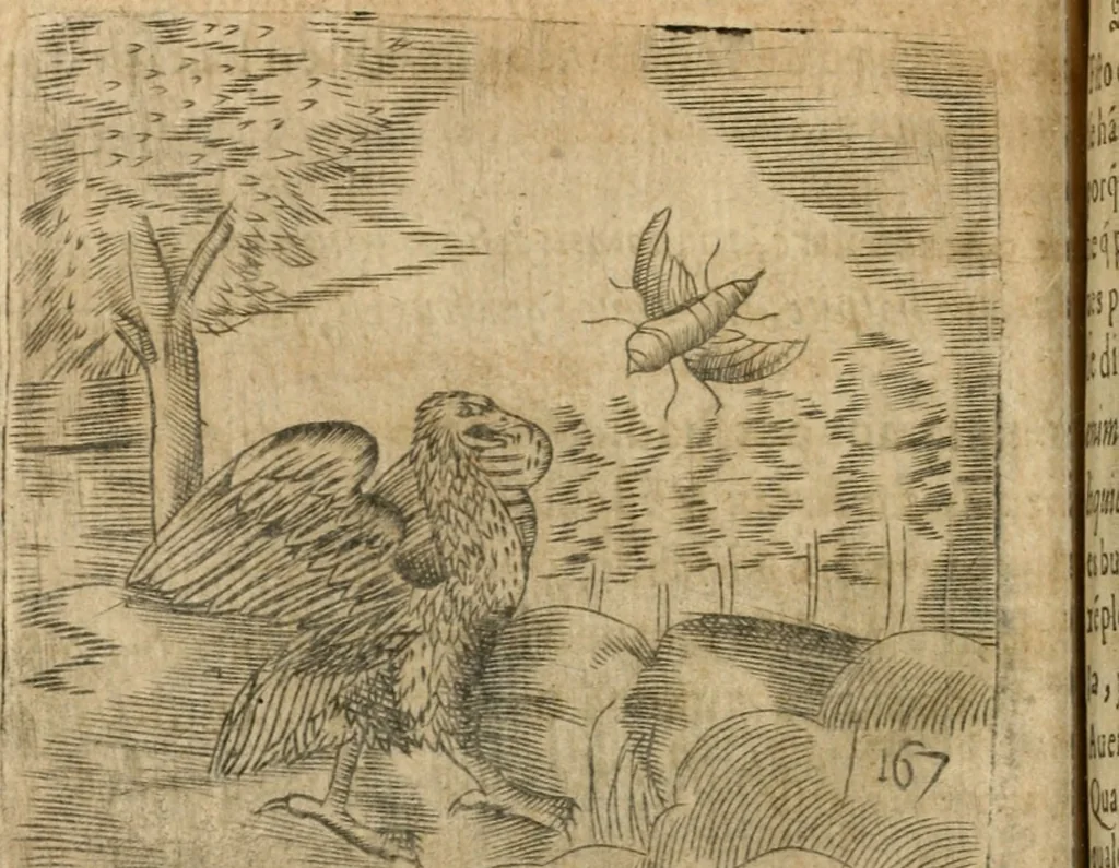 An illustration from Declaracion magistral sobre las emblemas de Andres Alciato con todas las historias, antiguedades, moralidad y doctrina tocante a las buenas costumbres, 1615, leaf 801