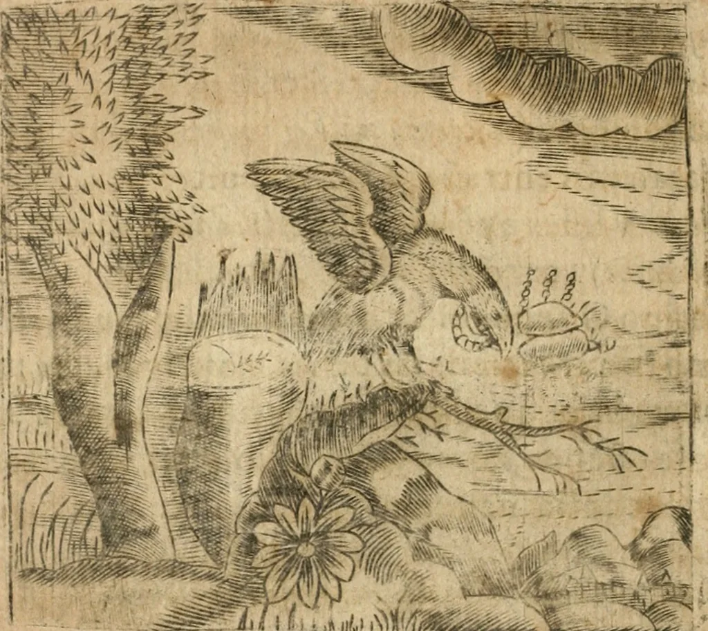 An illustration from Declaracion magistral sobre las emblemas de Andres Alciato con todas las historias, antiguedades, moralidad y doctrina tocante a las buenas costumbres, 1615, leaf 817
