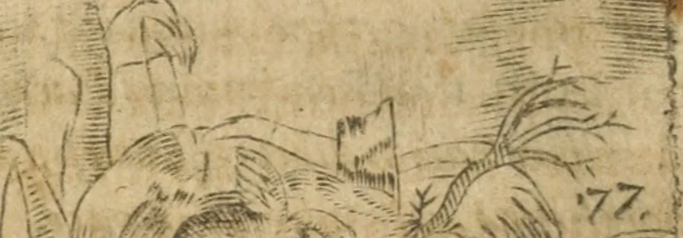 An illustration from Declaracion magistral sobre las emblemas de Andres Alciato con todas las historias, antiguedades, moralidad y doctrina tocante a las buenas costumbres, 1615, leaf 839