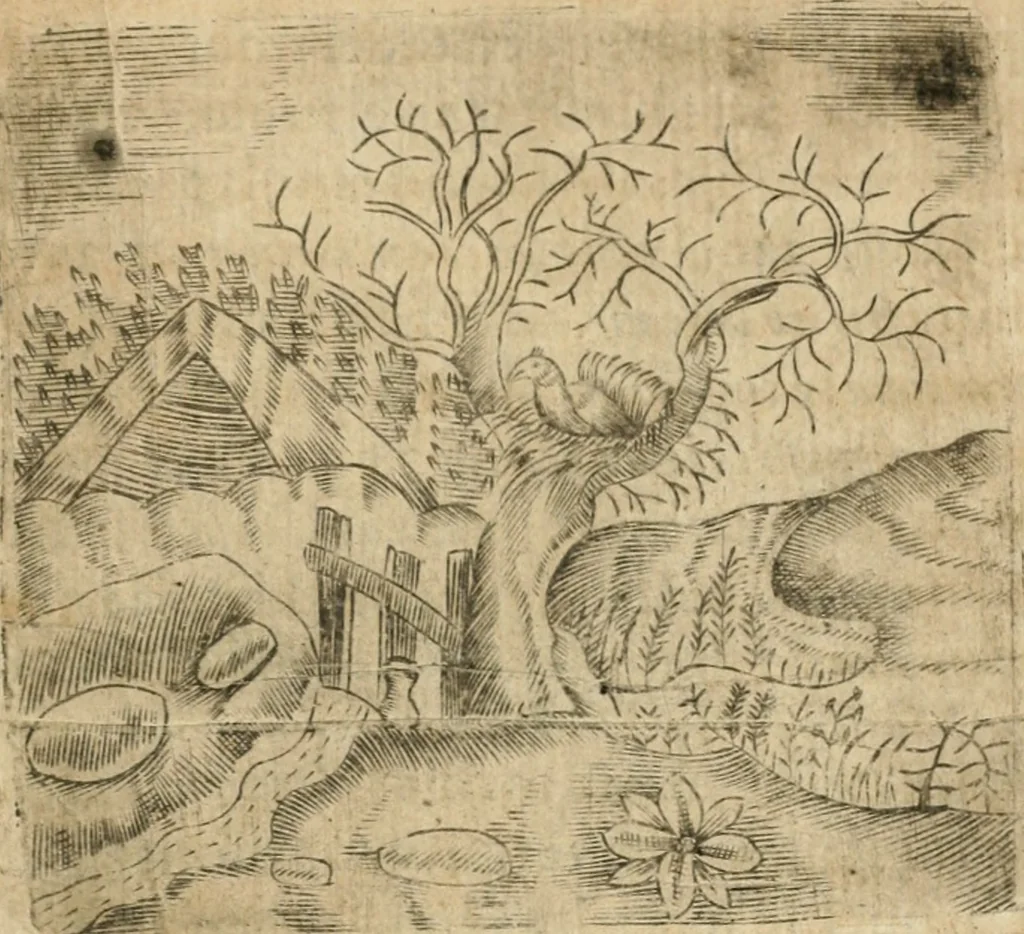 An illustration from Declaracion magistral sobre las emblemas de Andres Alciato con todas las historias, antiguedades, moralidad y doctrina tocante a las buenas costumbres, 1615, leaf 914