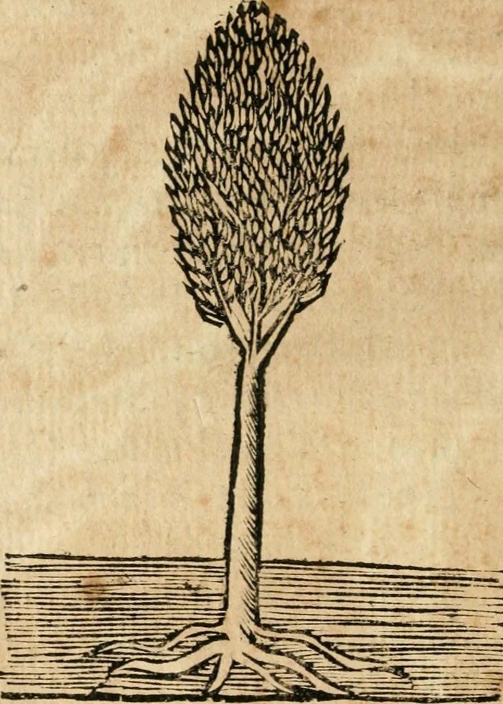 An illustration from Declaracion magistral sobre las emblemas de Andres Alciato con todas las historias, antiguedades, moralidad y doctrina tocante a las buenas costumbres, 1615, leaf 935
