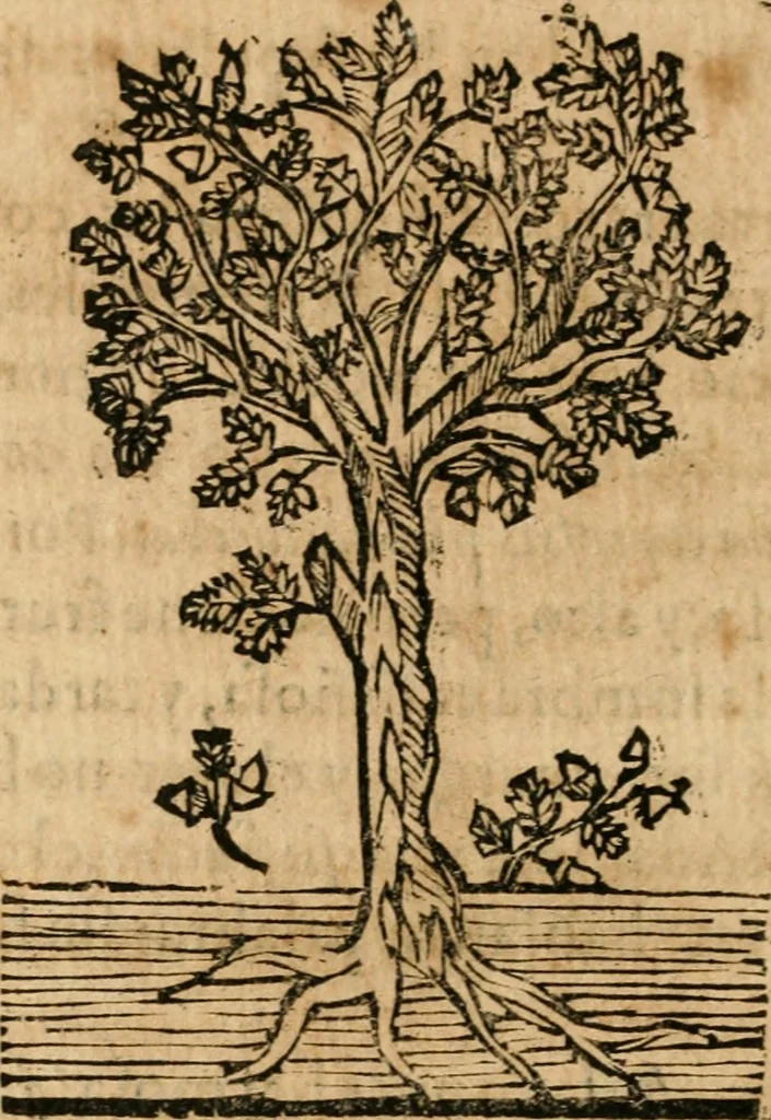An illustration from Declaracion magistral sobre las emblemas de Andres Alciato con todas las historias, antiguedades, moralidad y doctrina tocante a las buenas costumbres, 1615, leaf 939