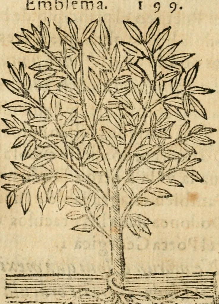 An illustration from Declaracion magistral sobre las emblemas de Andres Alciato con todas las historias, antiguedades, moralidad y doctrina tocante a las buenas costumbres, 1615, leaf 941