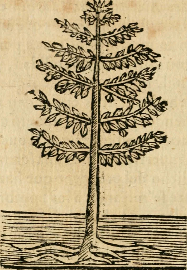 An illustration from Declaracion magistral sobre las emblemas de Andres Alciato con todas las historias, antiguedades, moralidad y doctrina tocante a las buenas costumbres, 1615, leaf 943