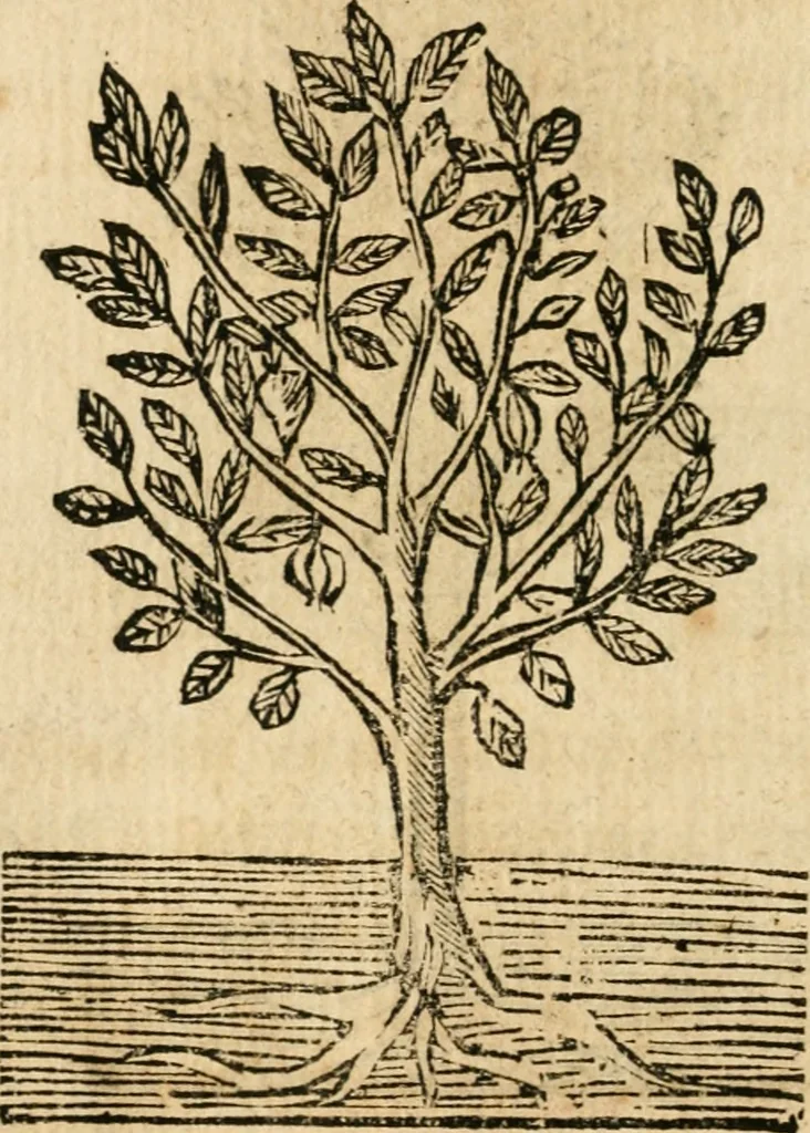 An illustration from Declaracion magistral sobre las emblemas de Andres Alciato con todas las historias, antiguedades, moralidad y doctrina tocante a las buenas costumbres, 1615, leaf 945