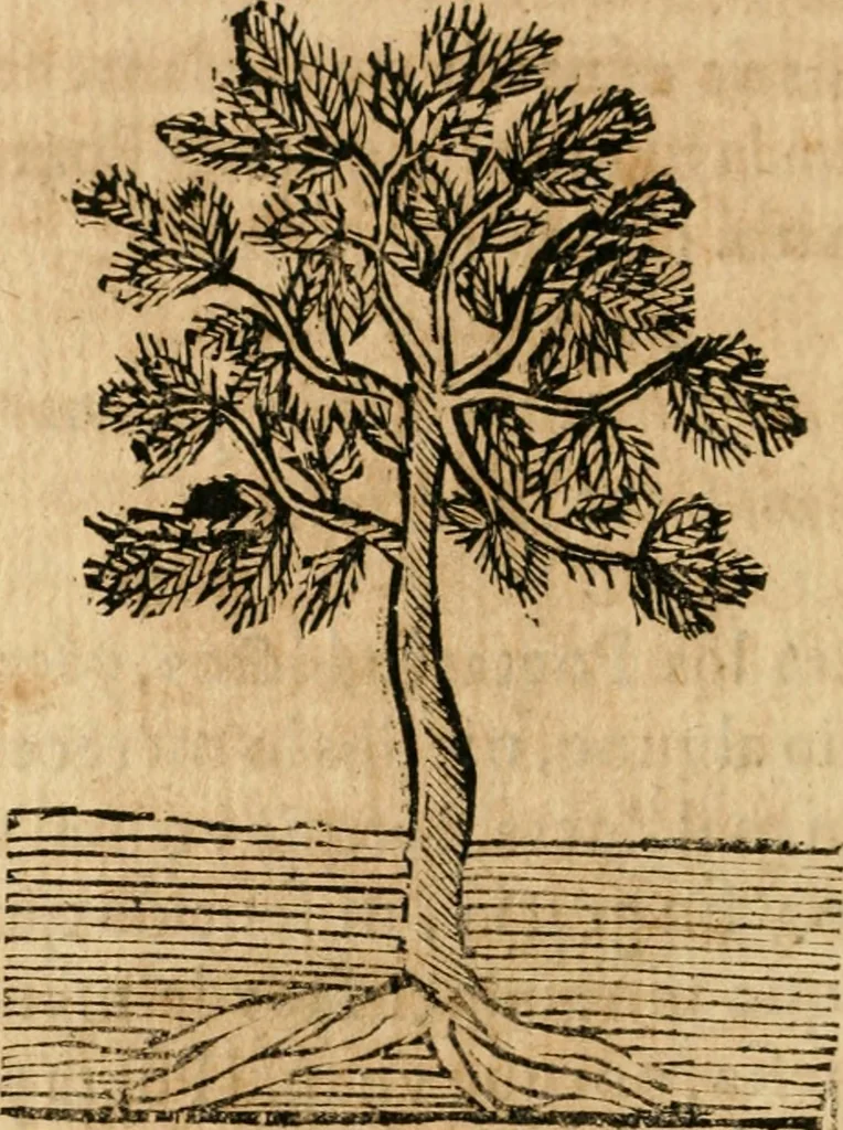 An illustration from Declaracion magistral sobre las emblemas de Andres Alciato con todas las historias, antiguedades, moralidad y doctrina tocante a las buenas costumbres, 1615, leaf 951