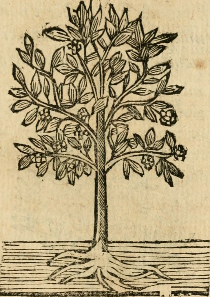 An illustration from Declaracion magistral sobre las emblemas de Andres Alciato con todas las historias, antiguedades, moralidad y doctrina tocante a las buenas costumbres, 1615, leaf 952