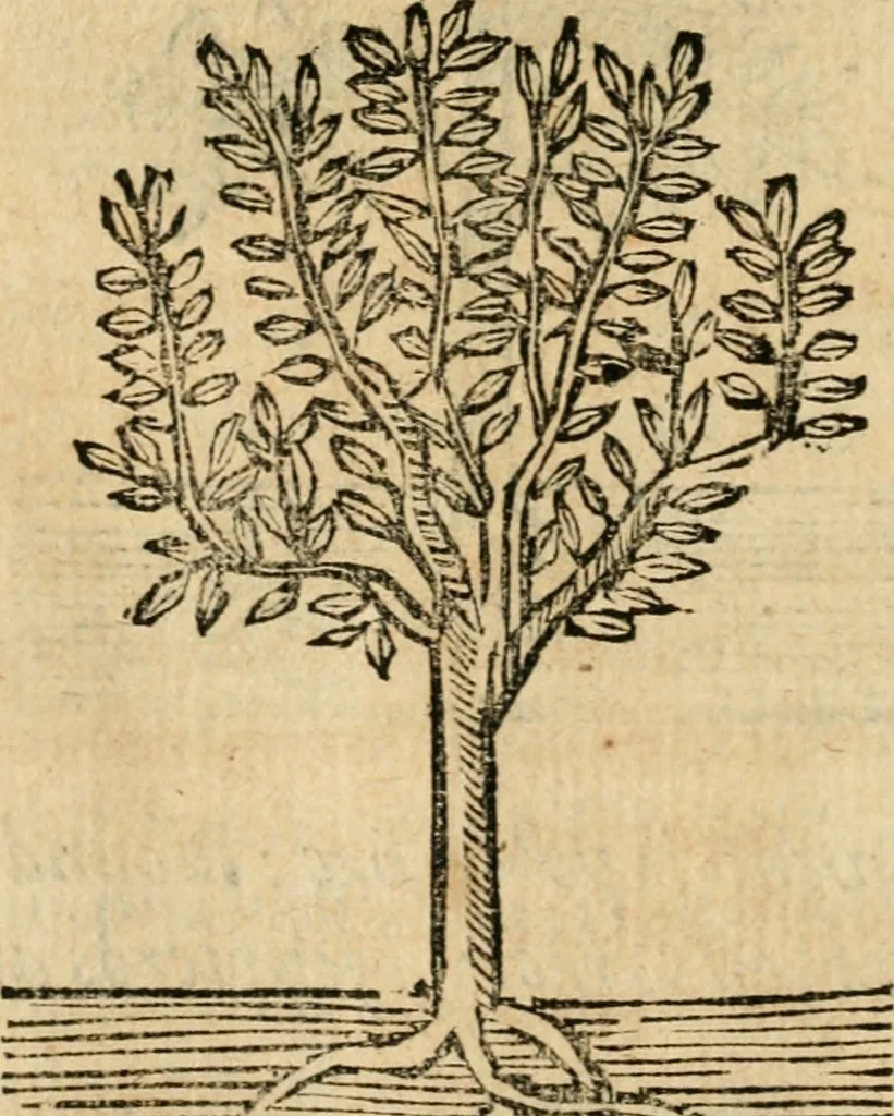 An illustration from Declaracion magistral sobre las emblemas de Andres Alciato con todas las historias, antiguedades, moralidad y doctrina tocante a las buenas costumbres, 1615, leaf 953