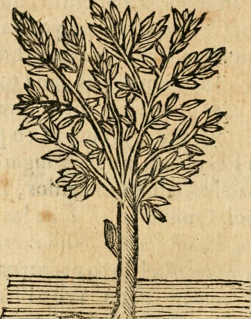 An illustration from Declaracion magistral sobre las emblemas de Andres Alciato con todas las historias, antiguedades, moralidad y doctrina tocante a las buenas costumbres, 1615, leaf 955