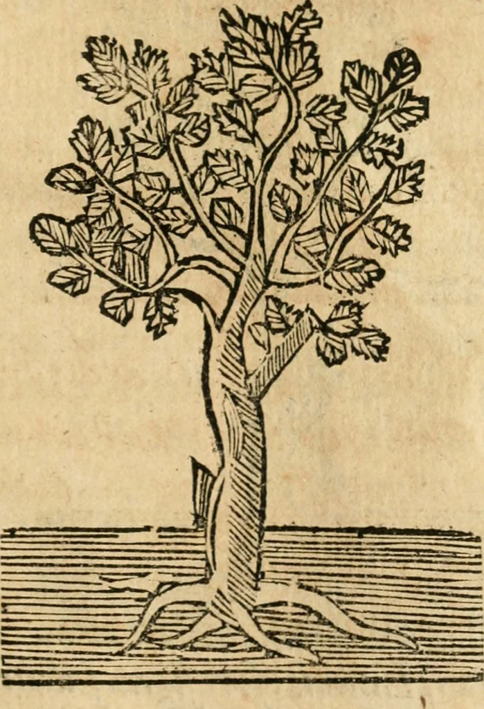 An illustration from Declaracion magistral sobre las emblemas de Andres Alciato con todas las historias, antiguedades, moralidad y doctrina tocante a las buenas costumbres, 1615, leaf 956
