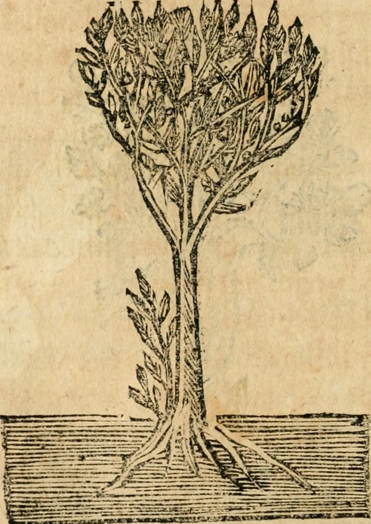 An illustration from Declaracion magistral sobre las emblemas de Andres Alciato con todas las historias, antiguedades, moralidad y doctrina tocante a las buenas costumbres, 1615, leaf 957