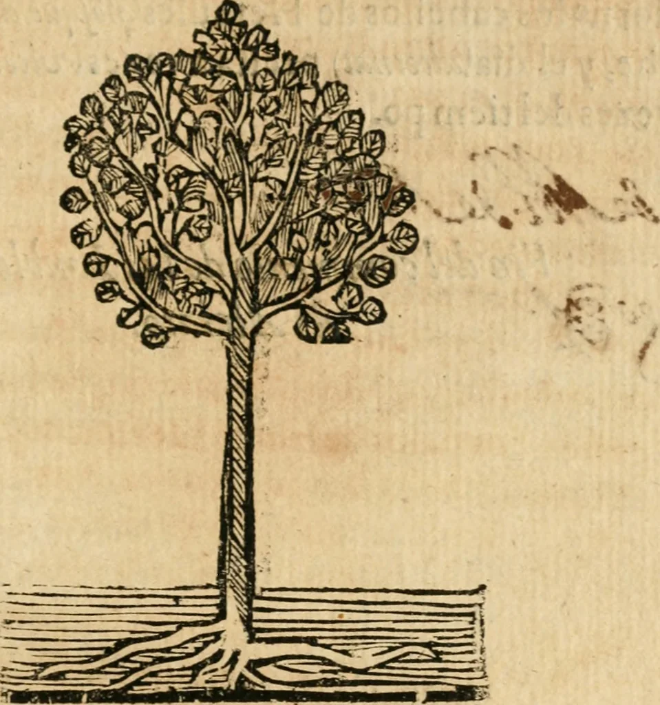 An illustration from Declaracion magistral sobre las emblemas de Andres Alciato con todas las historias, antiguedades, moralidad y doctrina tocante a las buenas costumbres, 1615, leaf 960