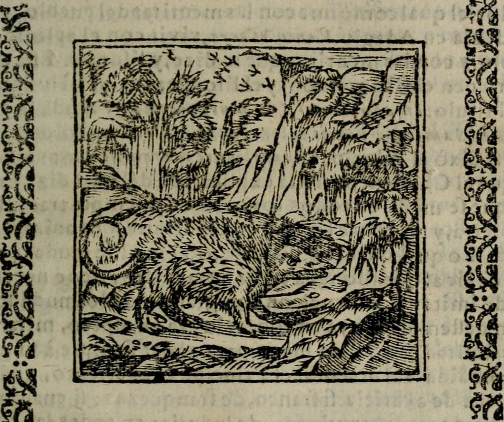 An illustration from Declaracion magistral sobre las Emblemas de Andres Alciato : con todas las historias, antiguedades, moralidad, y doctrina, tocante a las buenas costumbres : dedicadas a la muy noble insigne, leal, y coronada ciudad de Valencia, 1670, leaf 260