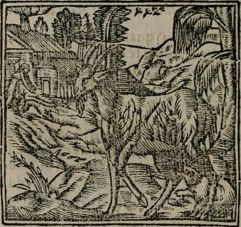 An illustration from Declaracion magistral sobre las Emblemas de Andres Alciato : con todas las historias, antiguedades, moralidad, y doctrina, tocante a las buenas costumbres : dedicadas a la muy noble insigne, leal, y coronada ciudad de Valencia, 1670, leaf 289