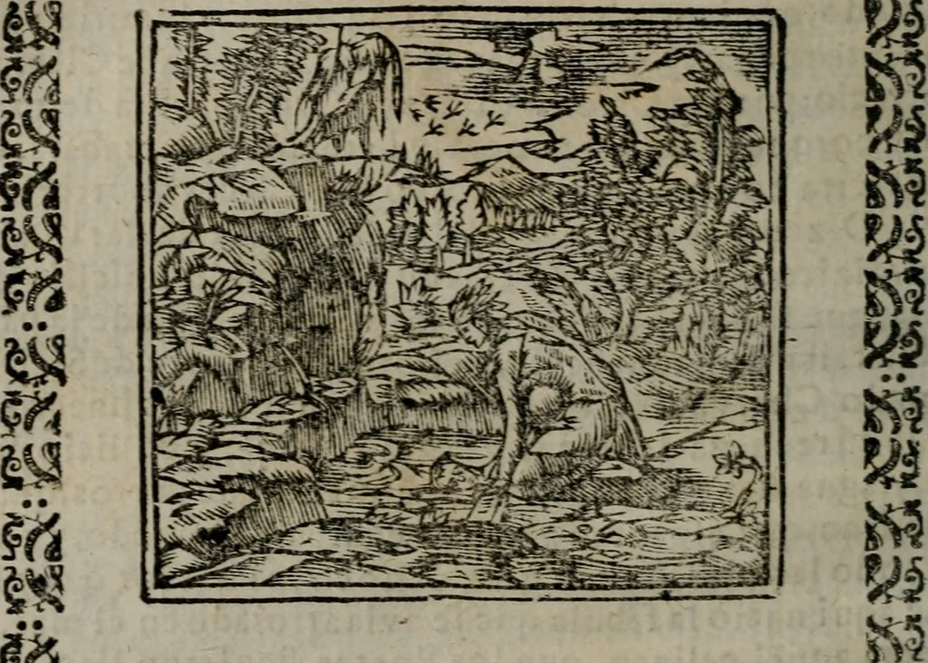 An illustration from Declaracion magistral sobre las Emblemas de Andres Alciato : con todas las historias, antiguedades, moralidad, y doctrina, tocante a las buenas costumbres : dedicadas a la muy noble insigne, leal, y coronada ciudad de Valencia, 1670, leaf 301