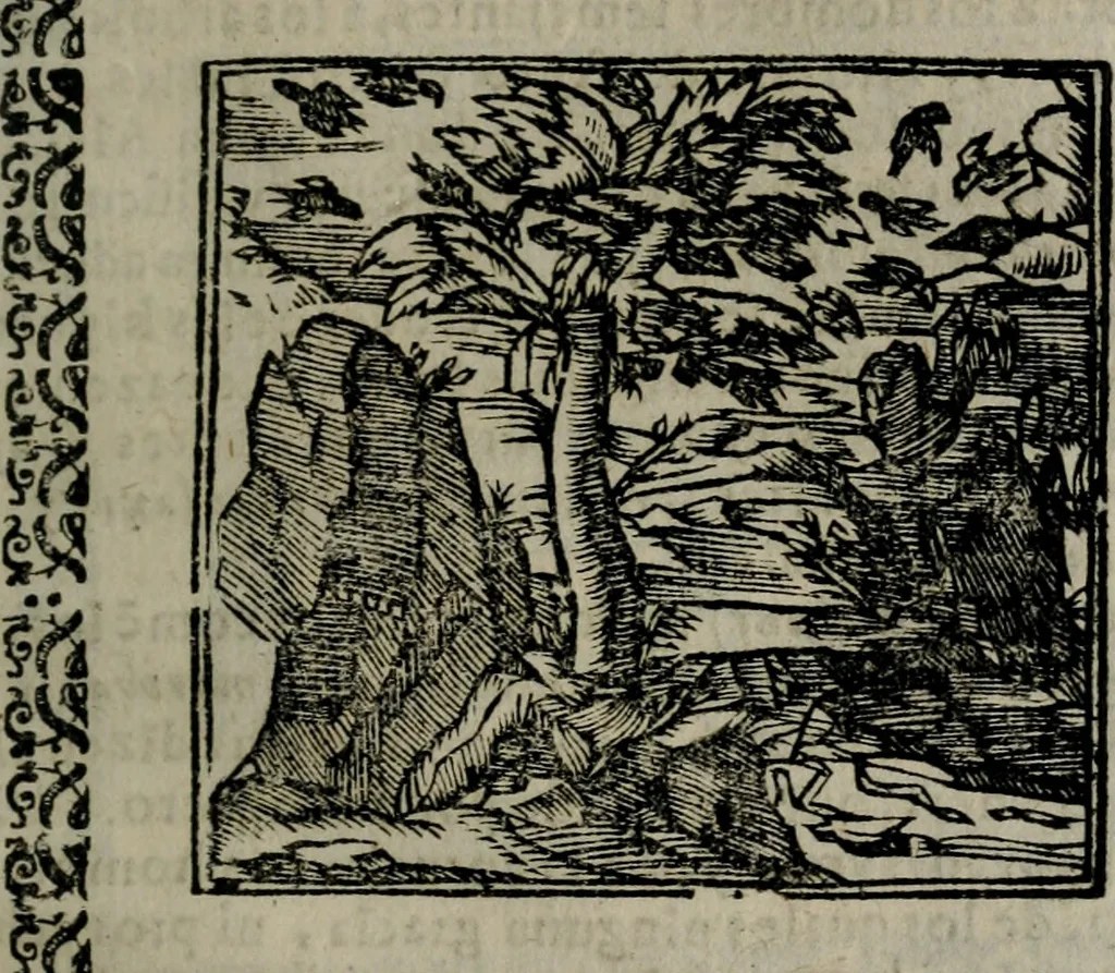 An illustration from Declaracion magistral sobre las Emblemas de Andres Alciato : con todas las historias, antiguedades, moralidad, y doctrina, tocante a las buenas costumbres : dedicadas a la muy noble insigne, leal, y coronada ciudad de Valencia, 1670, leaf 316