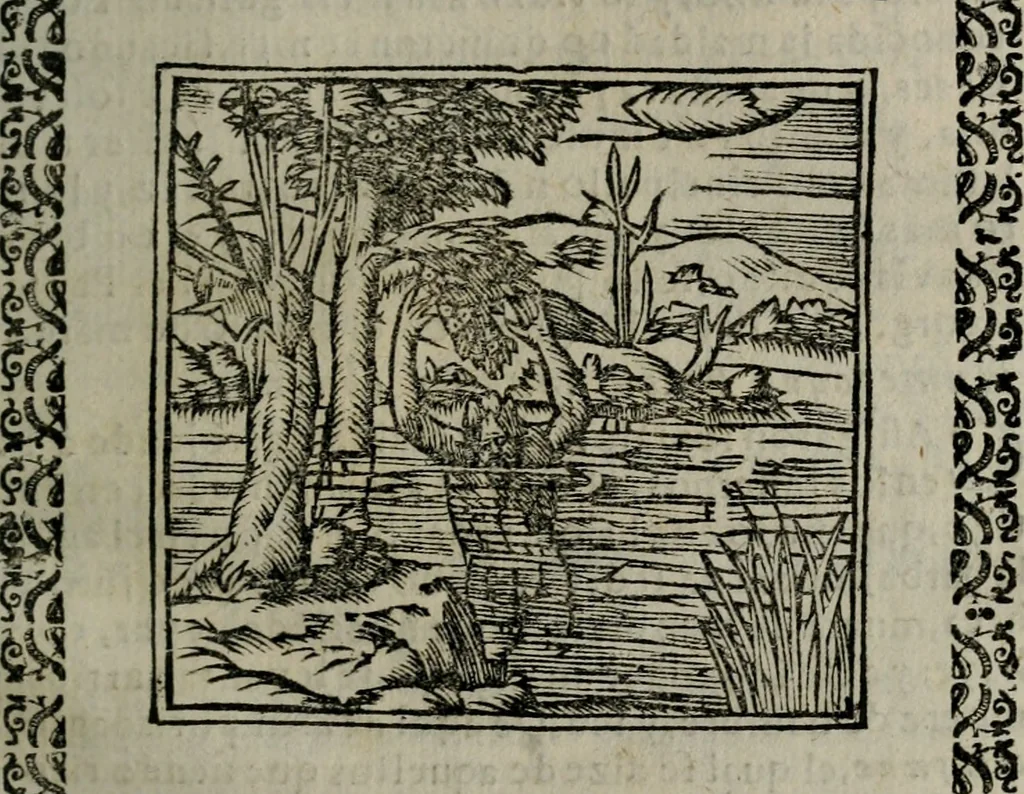 An illustration from Declaracion magistral sobre las Emblemas de Andres Alciato : con todas las historias, antiguedades, moralidad, y doctrina, tocante a las buenas costumbres : dedicadas a la muy noble insigne, leal, y coronada ciudad de Valencia, 1670, leaf 348