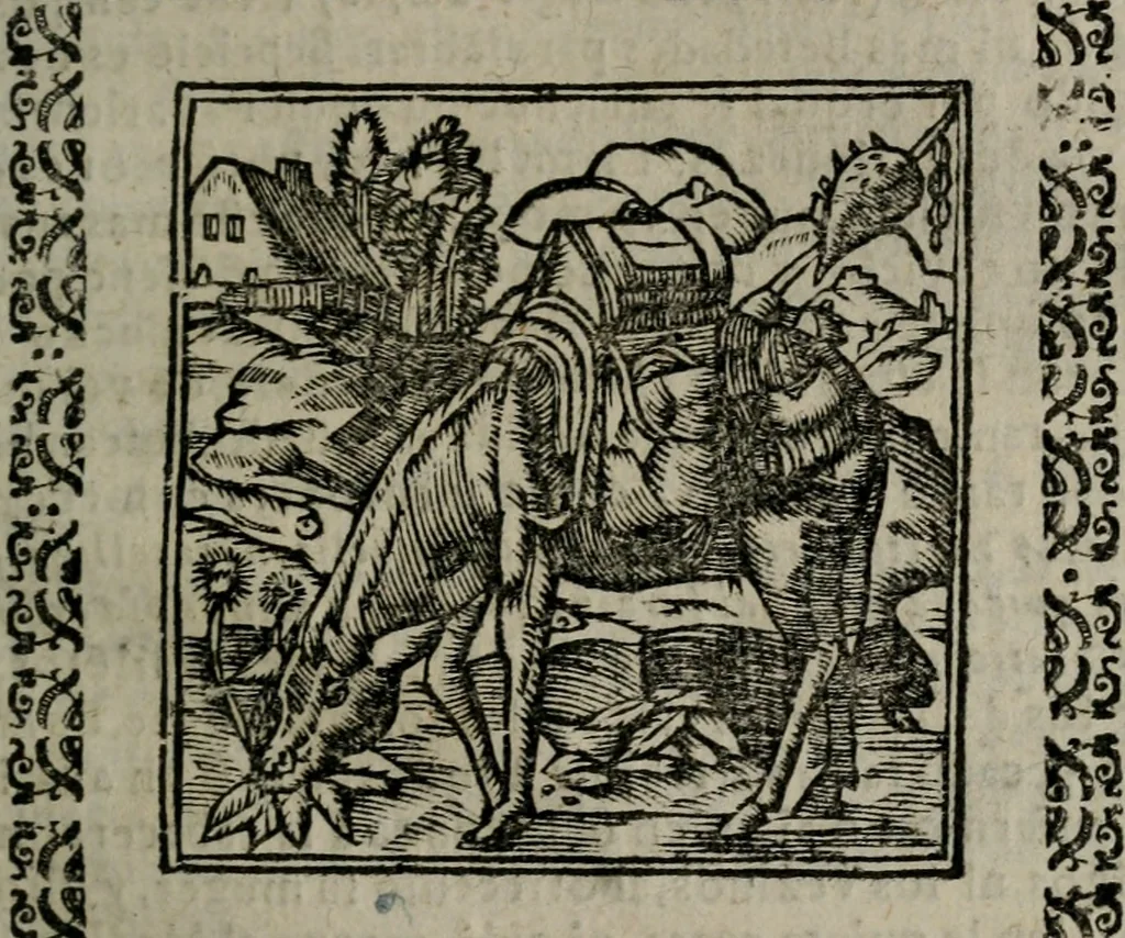 An illustration from Declaracion magistral sobre las Emblemas de Andres Alciato : con todas las historias, antiguedades, moralidad, y doctrina, tocante a las buenas costumbres : dedicadas a la muy noble insigne, leal, y coronada ciudad de Valencia, 1670, leaf 352