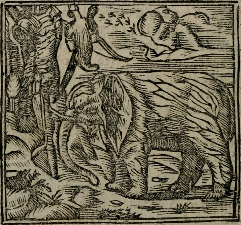 An illustration from Declaracion magistral sobre las Emblemas de Andres Alciato : con todas las historias, antiguedades, moralidad, y doctrina, tocante a las buenas costumbres : dedicadas a la muy noble insigne, leal, y coronada ciudad de Valencia, 1670, leaf 465