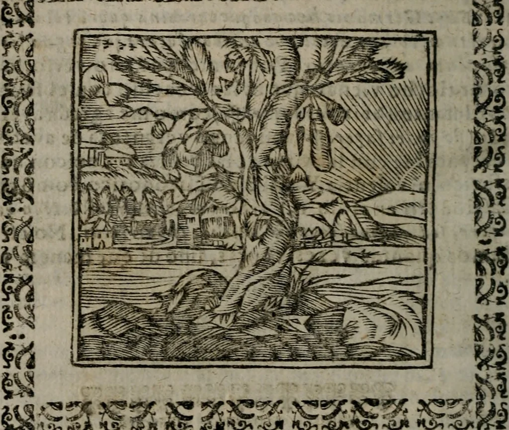 An illustration from Declaracion magistral sobre las Emblemas de Andres Alciato : con todas las historias, antiguedades, moralidad, y doctrina, tocante a las buenas costumbres : dedicadas a la muy noble insigne, leal, y coronada ciudad de Valencia, 1670, leaf 469