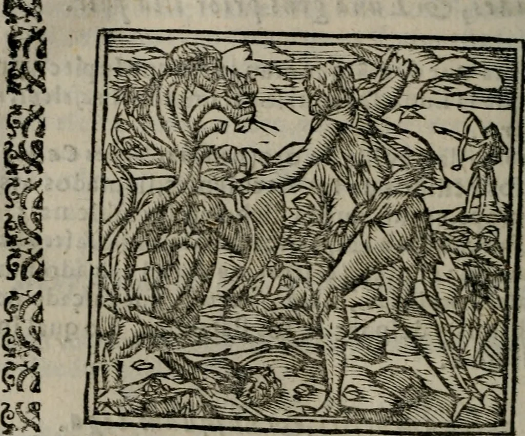 An illustration from Declaracion magistral sobre las Emblemas de Andres Alciato : con todas las historias, antiguedades, moralidad, y doctrina, tocante a las buenas costumbres : dedicadas a la muy noble insigne, leal, y coronada ciudad de Valencia, 1670, leaf 511