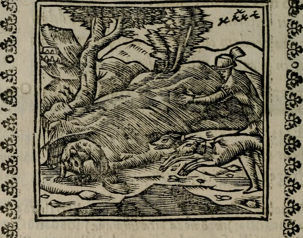 An illustration from Declaracion magistral sobre las Emblemas de Andres Alciato : con todas las historias, antiguedades, moralidad, y doctrina, tocante a las buenas costumbres : dedicadas a la muy noble insigne, leal, y coronada ciudad de Valencia, 1670, leaf 551