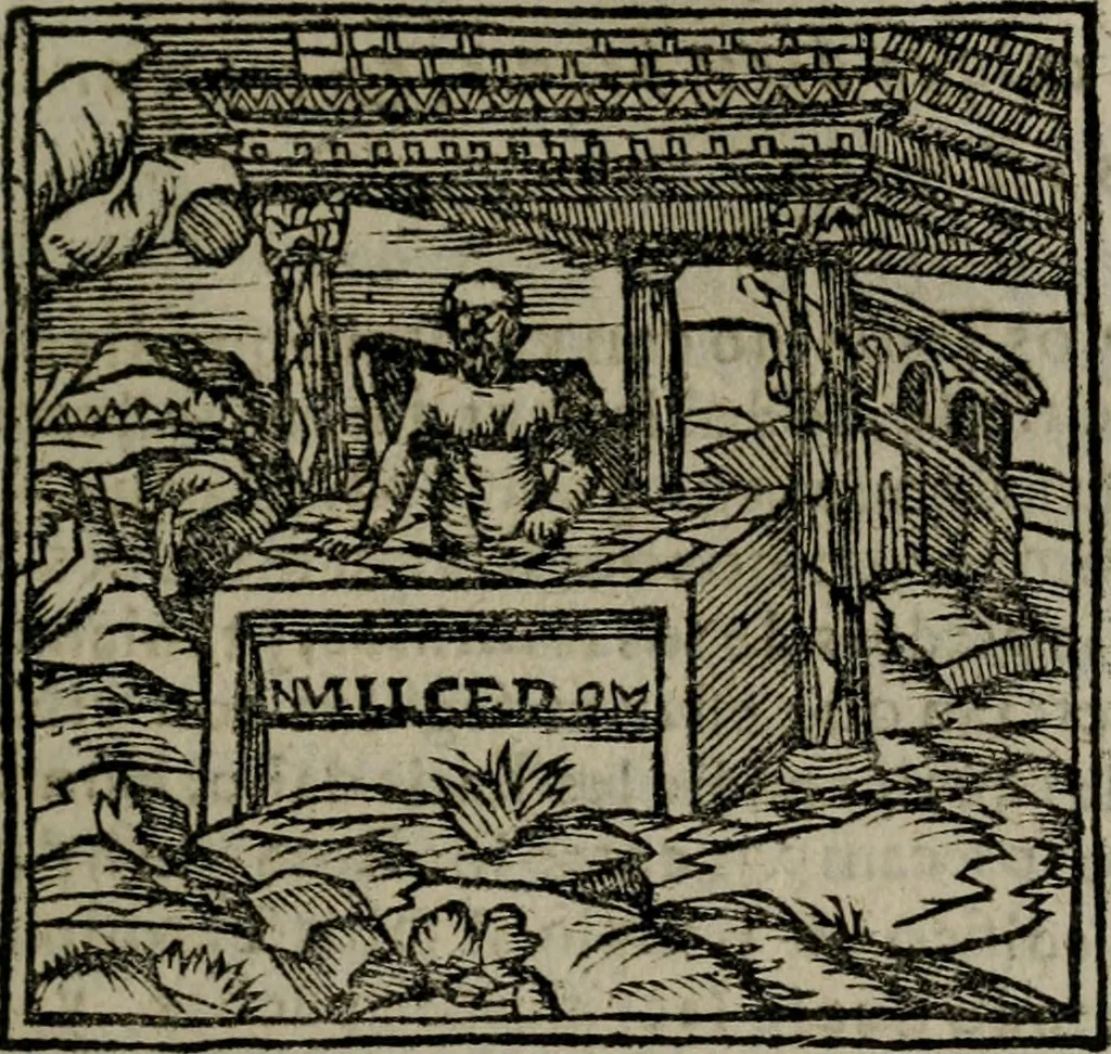 An illustration from Declaracion magistral sobre las Emblemas de Andres Alciato : con todas las historias, antiguedades, moralidad, y doctrina, tocante a las buenas costumbres : dedicadas a la muy noble insigne, leal, y coronada ciudad de Valencia, 1670, leaf 564