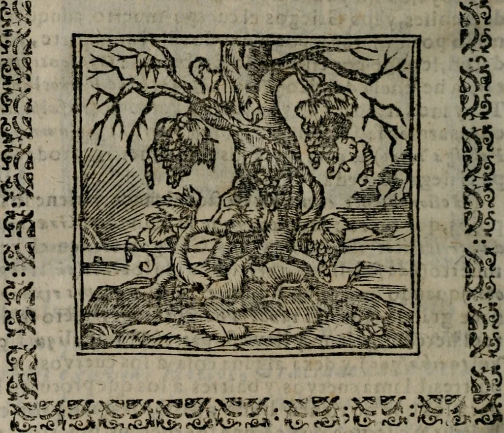 An illustration from Declaracion magistral sobre las Emblemas de Andres Alciato : con todas las historias, antiguedades, moralidad, y doctrina, tocante a las buenas costumbres : dedicadas a la muy noble insigne, leal, y coronada ciudad de Valencia, 1670, leaf 569