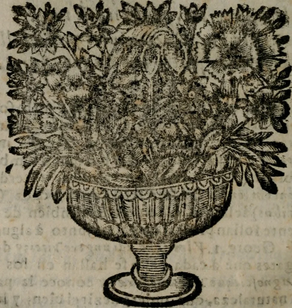 An illustration from Declaracion magistral sobre las Emblemas de Andres Alciato : con todas las historias, antiguedades, moralidad, y doctrina, tocante a las buenas costumbres : dedicadas a la muy noble insigne, leal, y coronada ciudad de Valencia, 1670, leaf 571