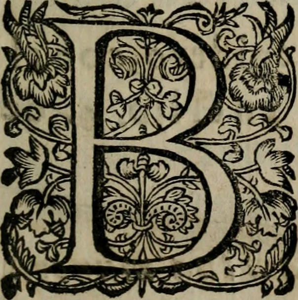 An illustration from Declaracion magistral sobre las Emblemas de Andres Alciato : con todas las historias, antiguedades, moralidad, y doctrina, tocante a las buenas costumbres : dedicadas a la muy noble insigne, leal, y coronada ciudad de Valencia, 1670, leaf 6