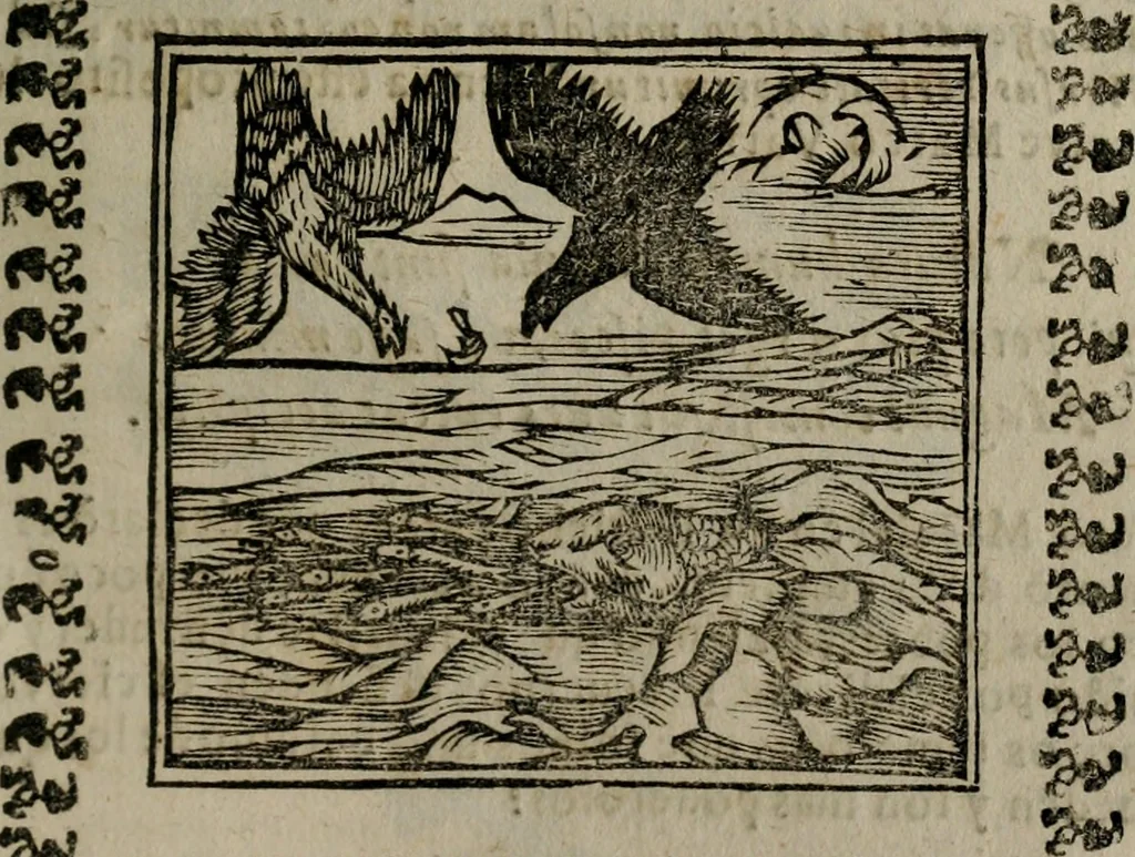 An illustration from Declaracion magistral sobre las Emblemas de Andres Alciato : con todas las historias, antiguedades, moralidad, y doctrina, tocante a las buenas costumbres : dedicadas a la muy noble insigne, leal, y coronada ciudad de Valencia, 1670, leaf 600