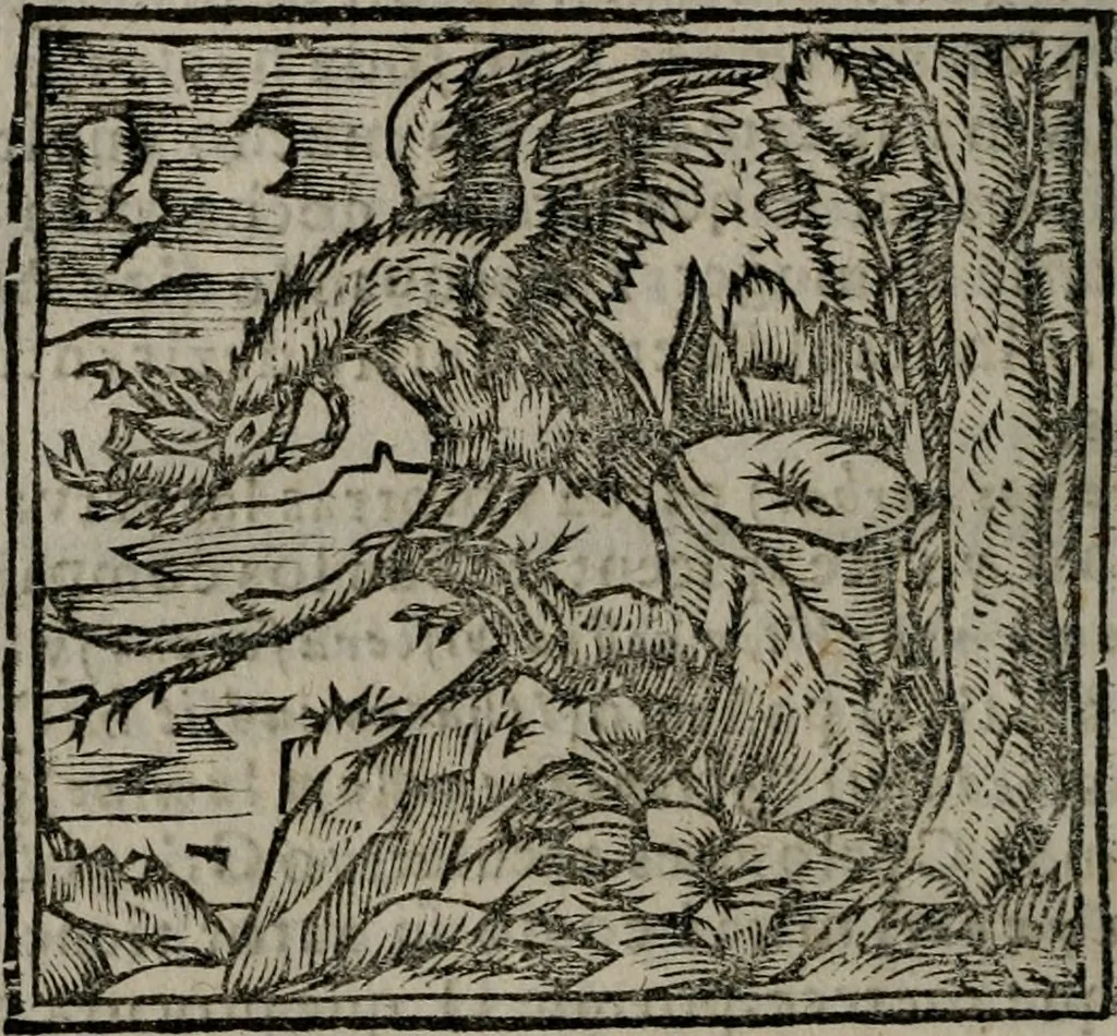 An illustration from Declaracion magistral sobre las Emblemas de Andres Alciato : con todas las historias, antiguedades, moralidad, y doctrina, tocante a las buenas costumbres : dedicadas a la muy noble insigne, leal, y coronada ciudad de Valencia, 1670, leaf 611