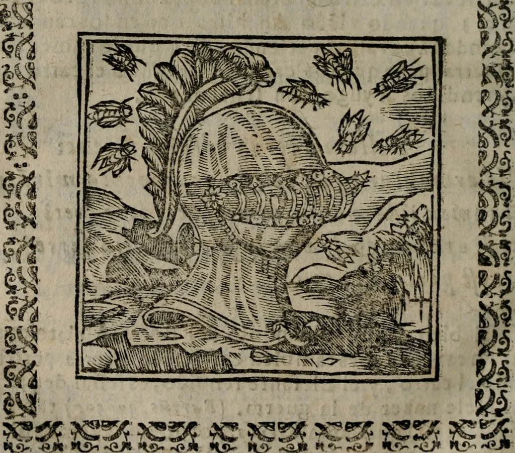 An illustration from Declaracion magistral sobre las Emblemas de Andres Alciato : con todas las historias, antiguedades, moralidad, y doctrina, tocante a las buenas costumbres : dedicadas a la muy noble insigne, leal, y coronada ciudad de Valencia, 1670, leaf 625