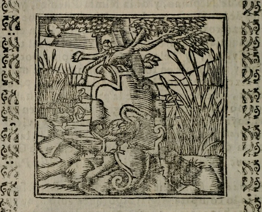 An illustration from Declaracion magistral sobre las Emblemas de Andres Alciato : con todas las historias, antiguedades, moralidad, y doctrina, tocante a las buenas costumbres : dedicadas a la muy noble insigne, leal, y coronada ciudad de Valencia, 1670, leaf 643