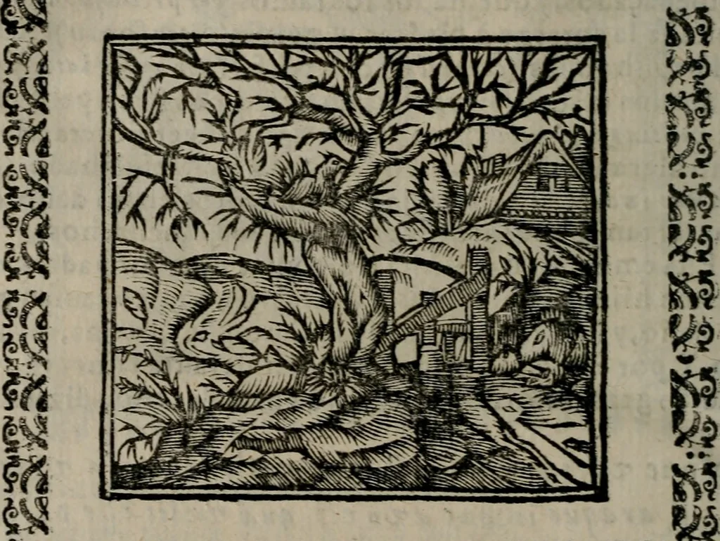 An illustration from Declaracion magistral sobre las Emblemas de Andres Alciato : con todas las historias, antiguedades, moralidad, y doctrina, tocante a las buenas costumbres : dedicadas a la muy noble insigne, leal, y coronada ciudad de Valencia, 1670, leaf 685